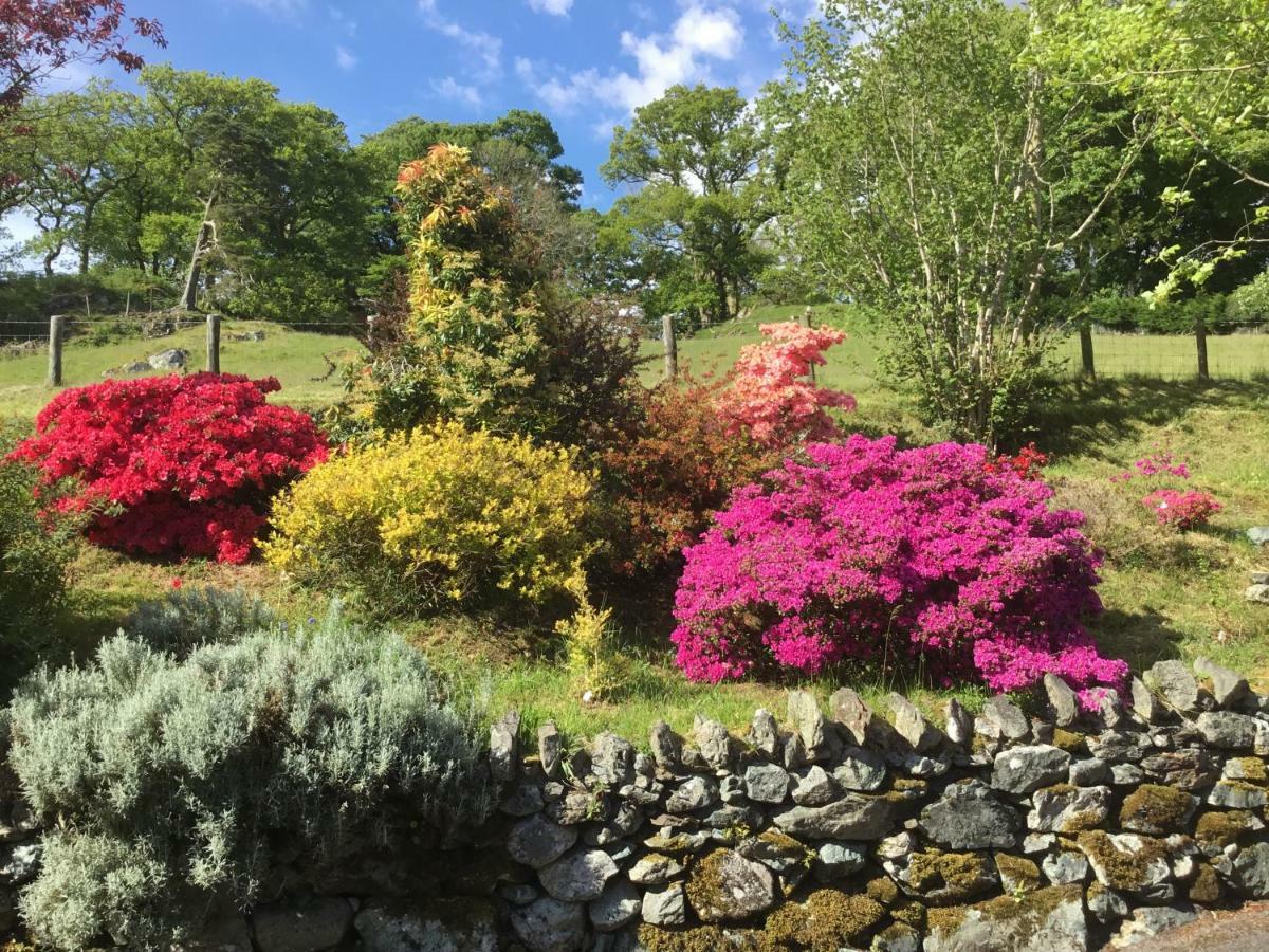 Heulwen Guest House Dolgellau Buitenkant foto